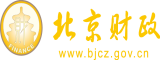 大鸡巴肏小骚屄的视频北京市财政局